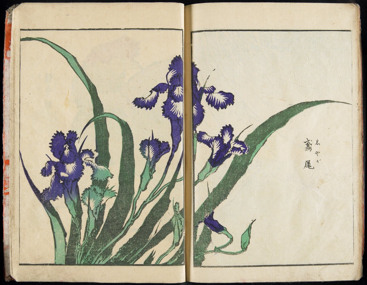 At formidle ånden og afsløre tingenes form: Hokusais billedhave, bind 1, komplet af Katsushika Hokusai