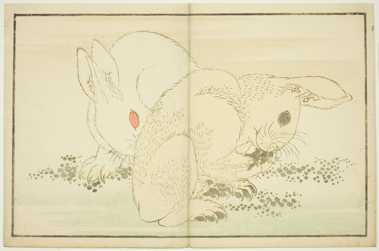 To kaniner fra The Picture Book of Realistic Paintings of Hokusai (Hokusai shashin gafu) af Katsushika Hokusai