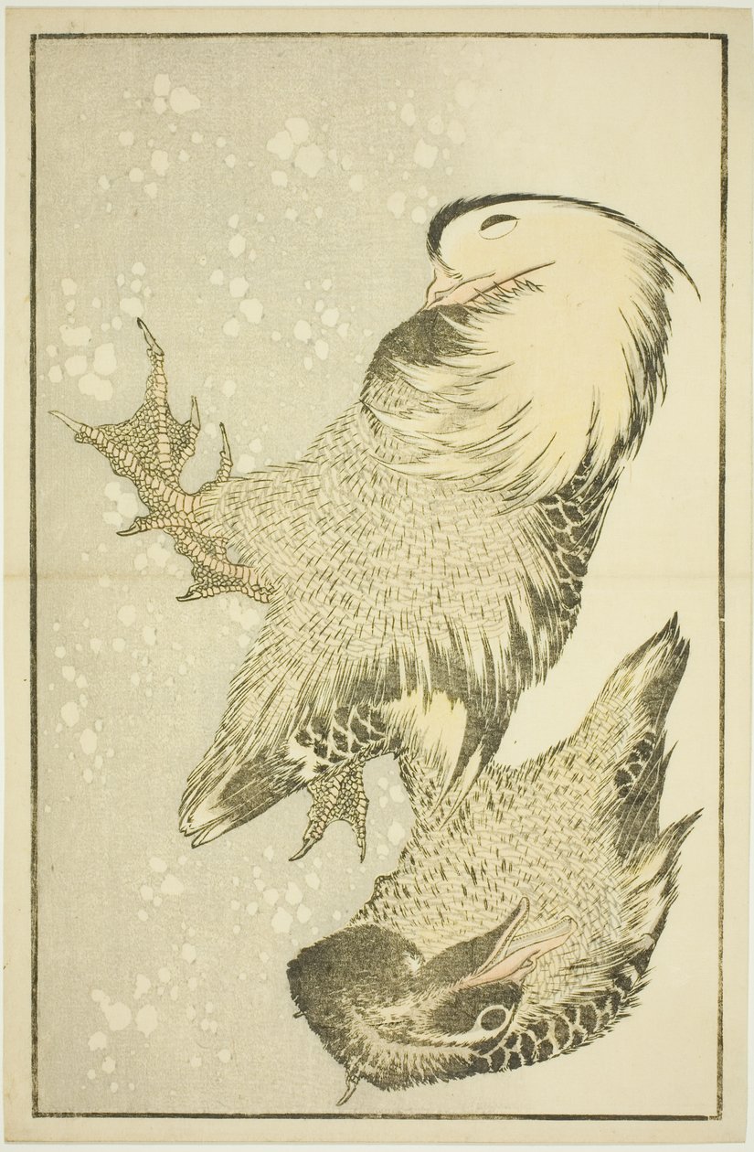 To vandfugle, fra billedbogen med realistiske malerier af Hokusai (Hokusai shashin gafu) af Katsushika Hokusai