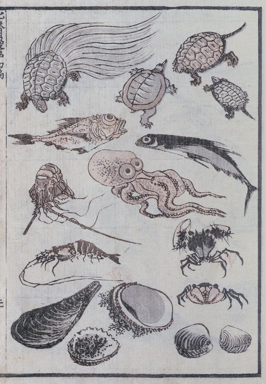 Undervandsvæsner, fra en manga (træsnit i farver) af Katsushika Hokusai