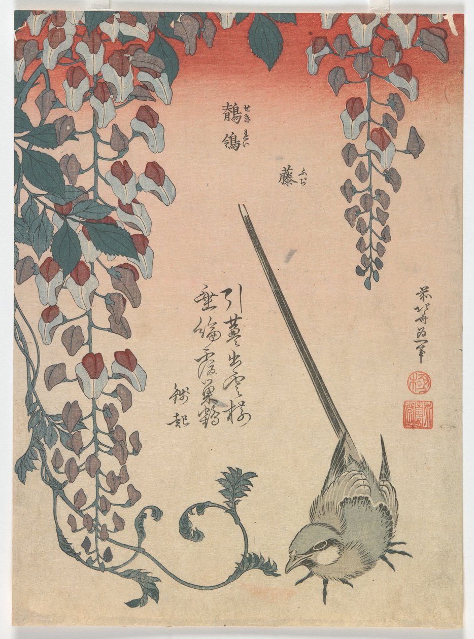 Vagtel og visteria, Edo-perioden, 1834 (farve-træsnit) af Katsushika Hokusai