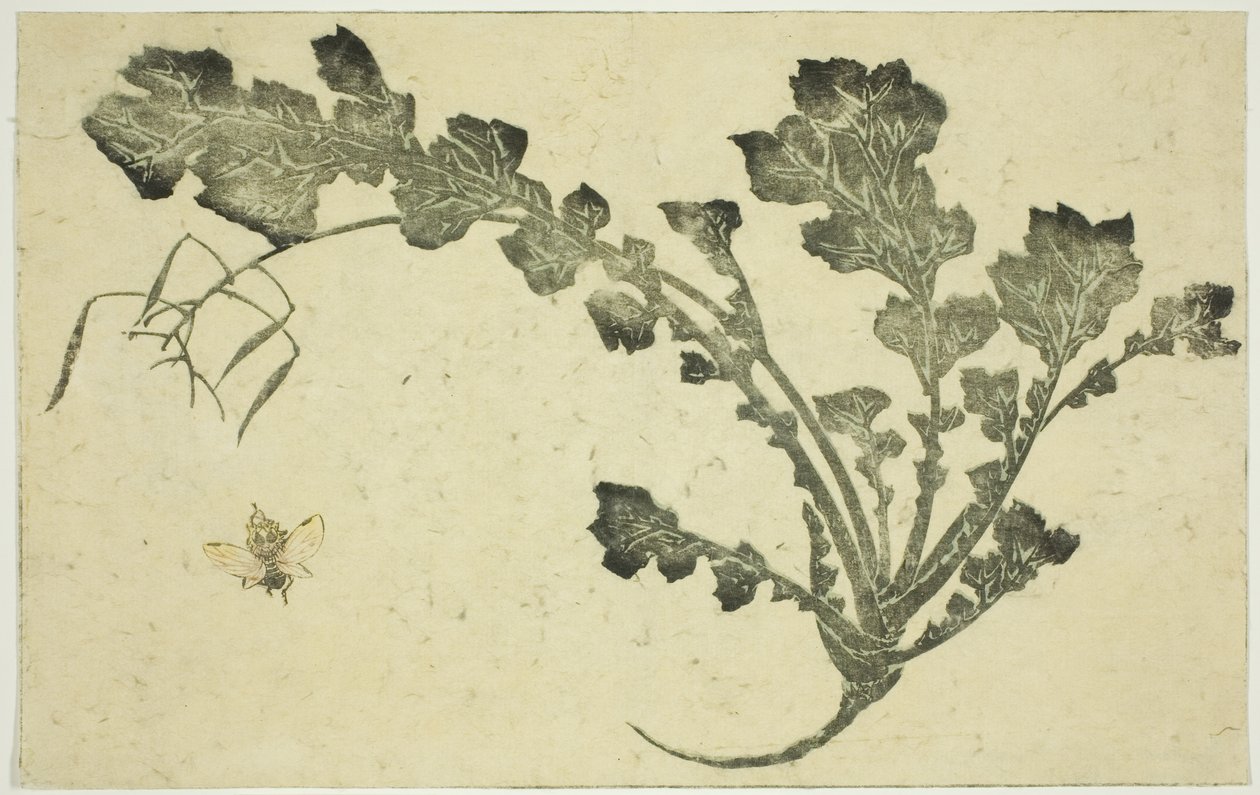 Hvepse- og majroestilk, fra "The Picture Book of Realistic Paintings of Hokusai (Hokusai shashin gafu)" af Katsushika Hokusai