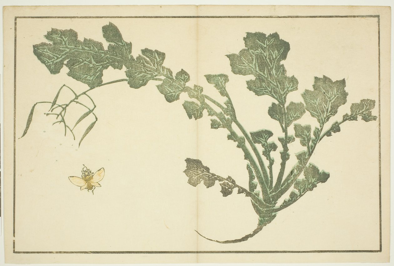 Hvepse- og majroestilk, fra "The Picture Book of Realistic Paintings of Hokusai (Hokusai shashin gafu)" af Katsushika Hokusai