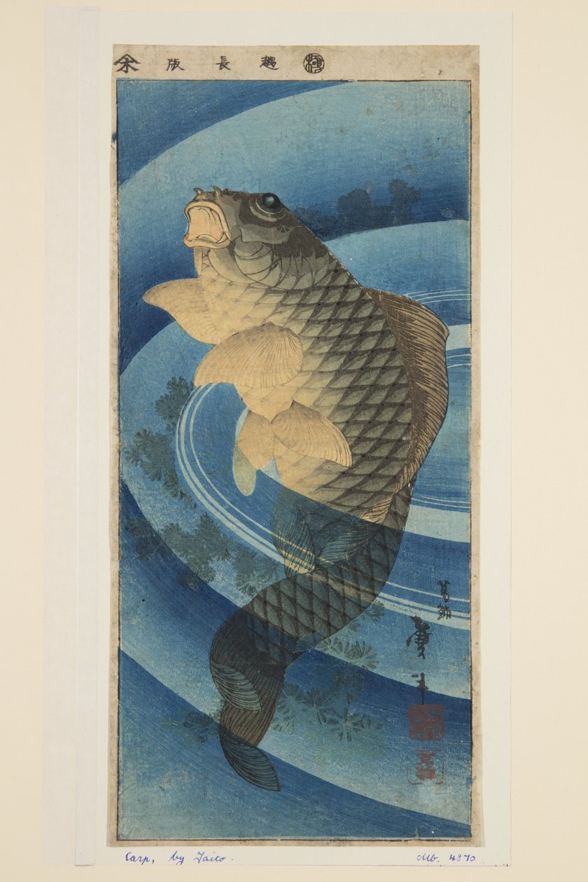 Karper (farvet træbloktryk) af Katsushika II (fl.1820 50) Taito