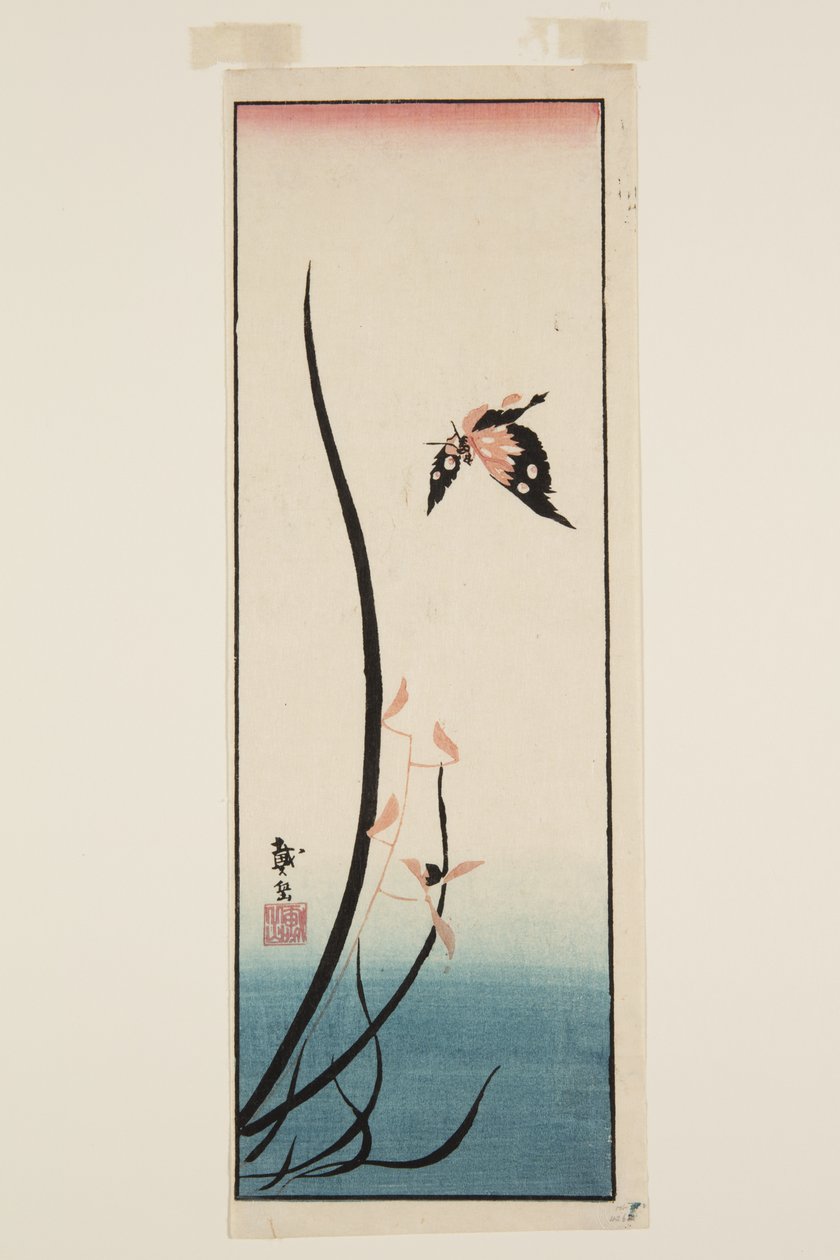 Sommerfugl og græs (træbloktryk i farver) af Katsushika II (fl.1820 50) Taito