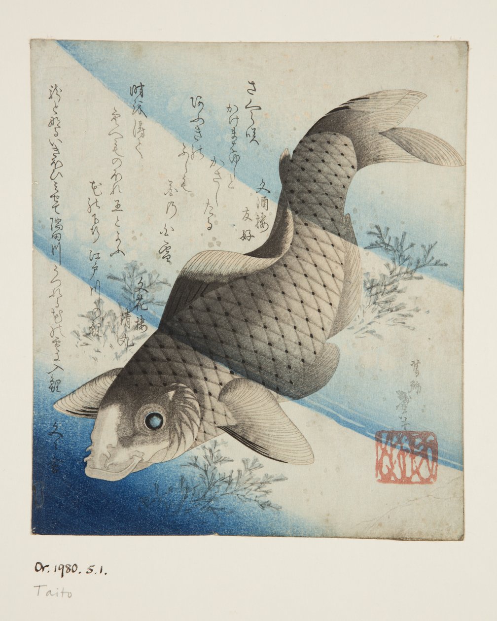 Karper i vand (farvet træbloktryk) af Katsushika II (fl.1820 50) Taito