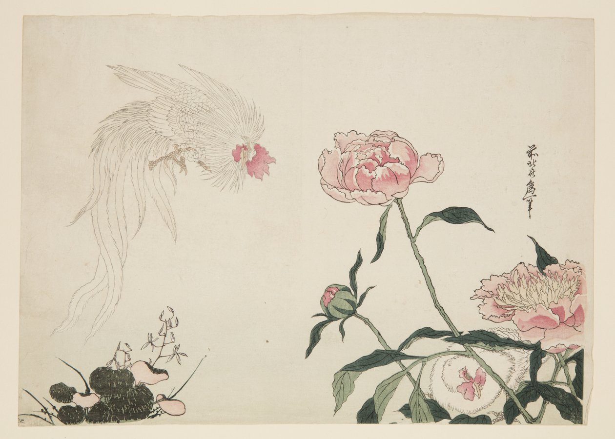 Langhalehaner blandt blomster (træbloktryk i farver) af Katsushika II (fl.1820 50) Taito
