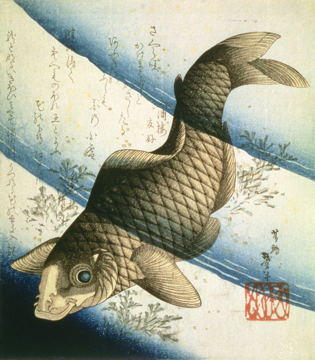 A Carp Swimming among Waterweeds, ca. 1832 (blæk) af Katsushika II Taito