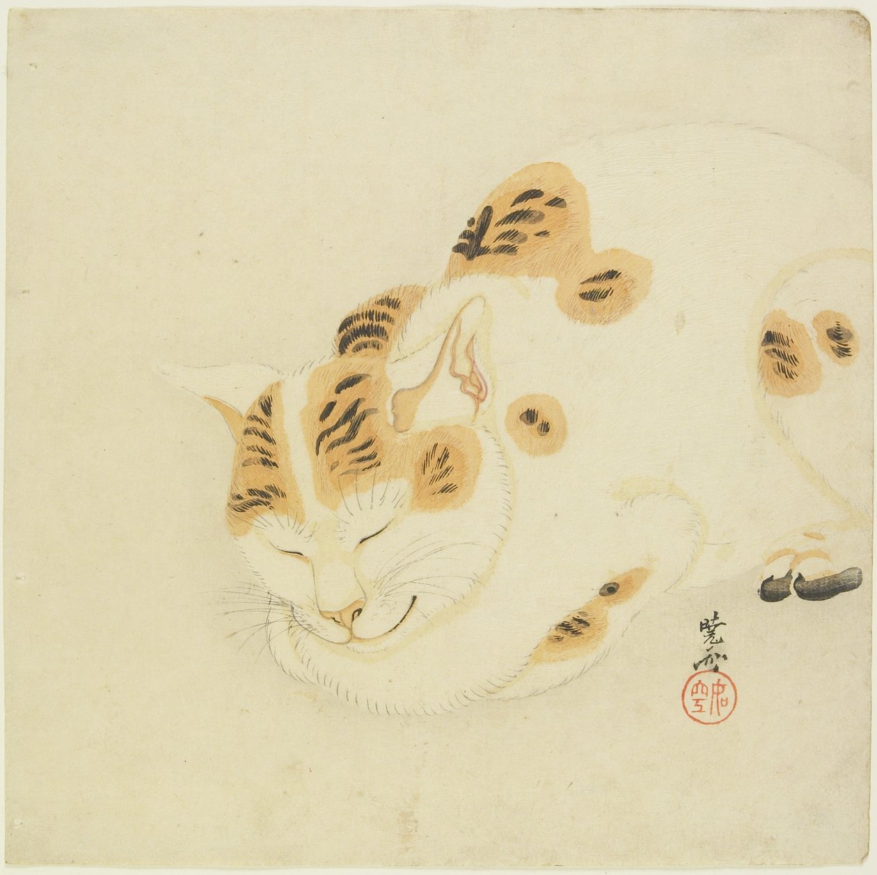 Sovende kat af Kawanabe Kyosai