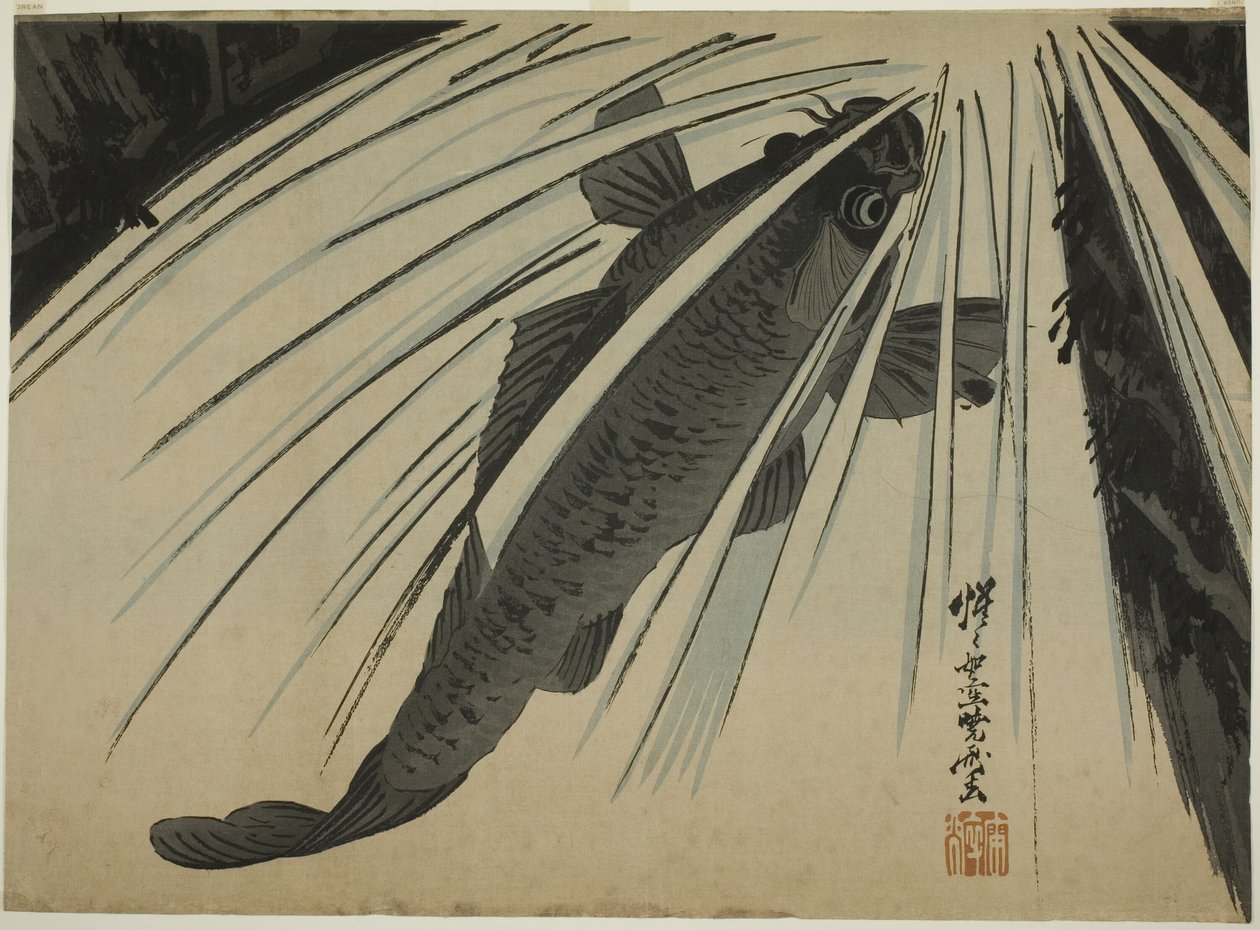 Karpens stigende vandfald af Kawanabe Kyosai