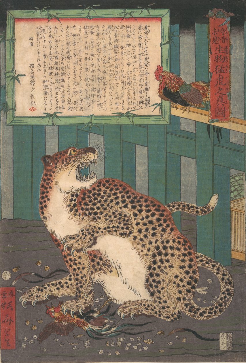 Aldrig set før: True Picture of a Live Wild Tiger..., sjette måned 1860. af Kawanabe Kyosai