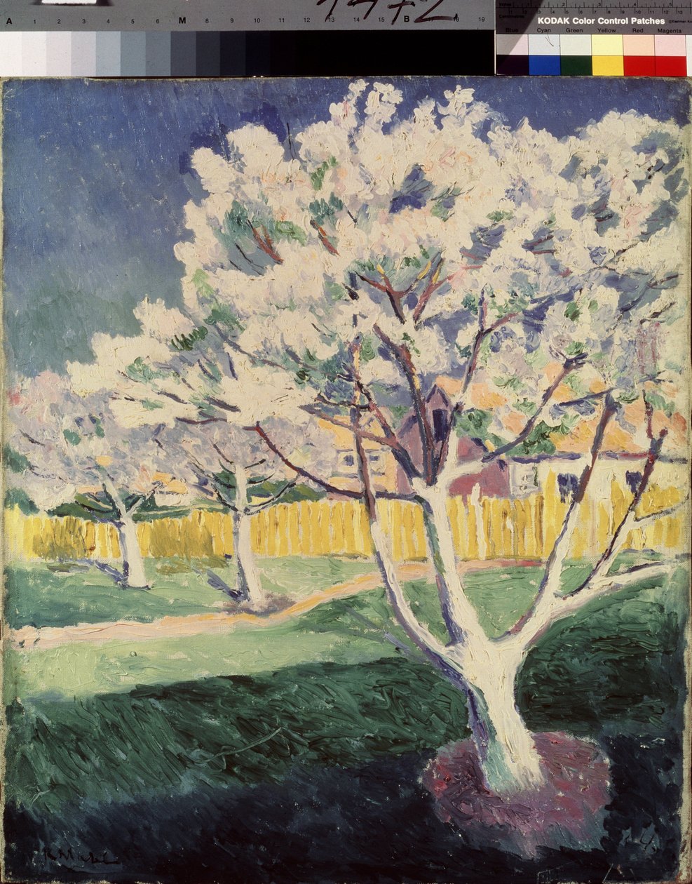 Sommer Landskab. Maleri af Kasimir Severinovich Malevich (Malevich, Malevic) (1878-1935), olie på lærred af Kazimir Severinovich Malevich