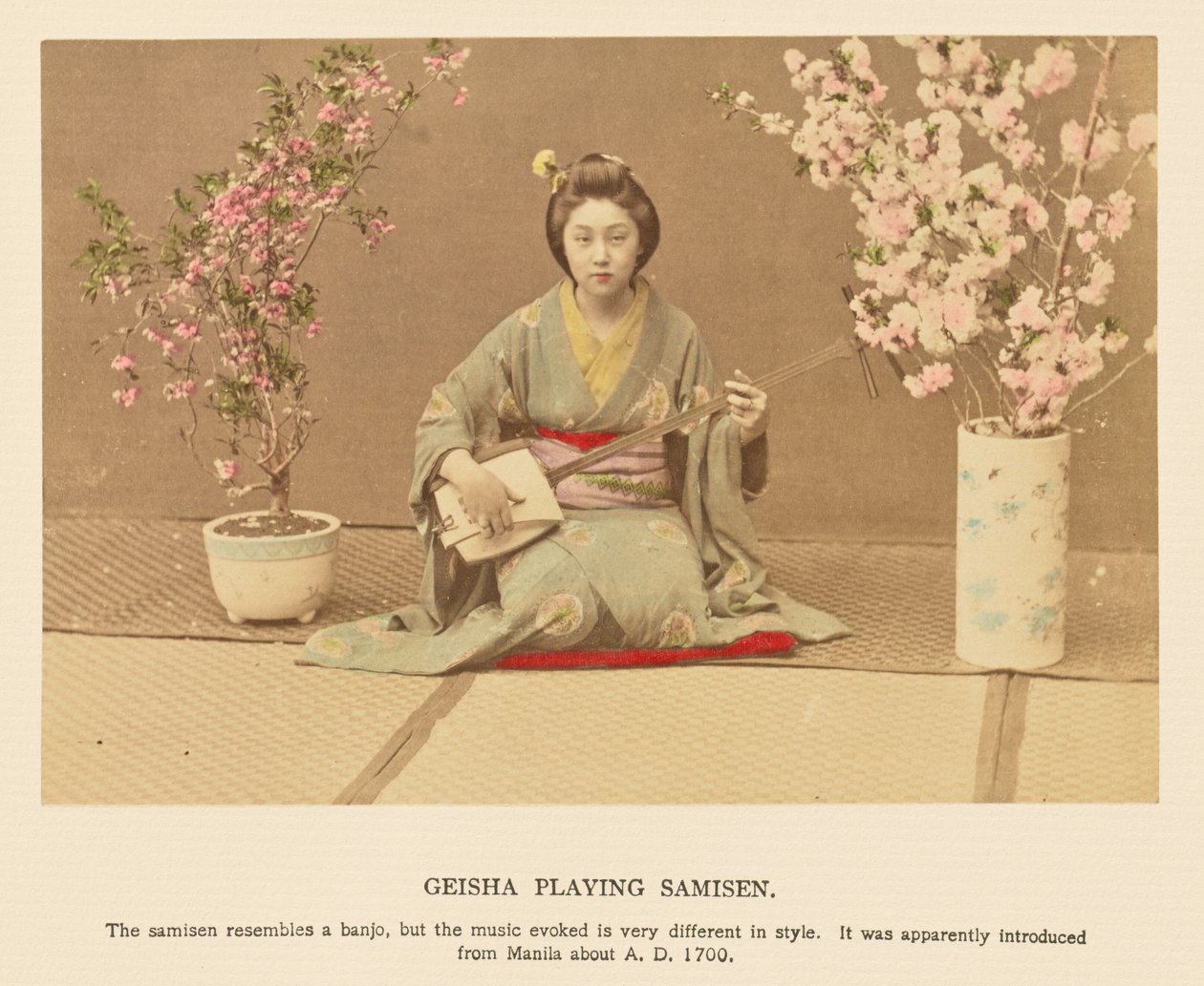 Geisha spiller samisen af Kazumasa Ogawa