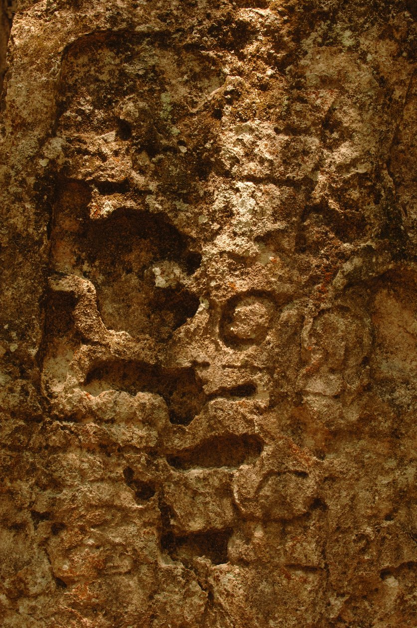 7319 Oxpemul; Maya; Oldtidskulturer; Maya; Mexico; Maya Biosphere Reserve; Ivan Spr..., 2004 (foto) af Kenneth Garrett