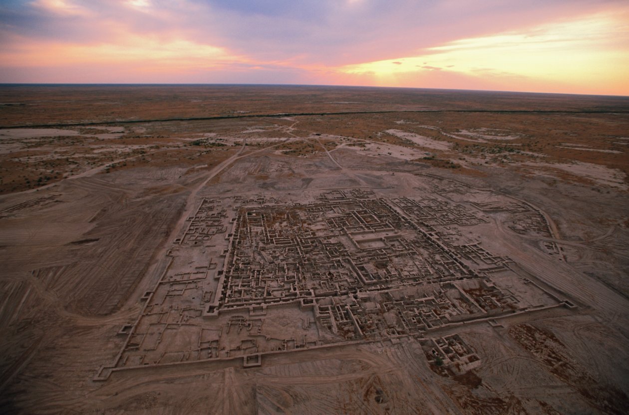 Luftfoto af udgravningssted; Oxus-civilisationen; Turkmenistan; Gonor Depe-stedet; Victor S..., 2004 (foto) af Kenneth Garrett