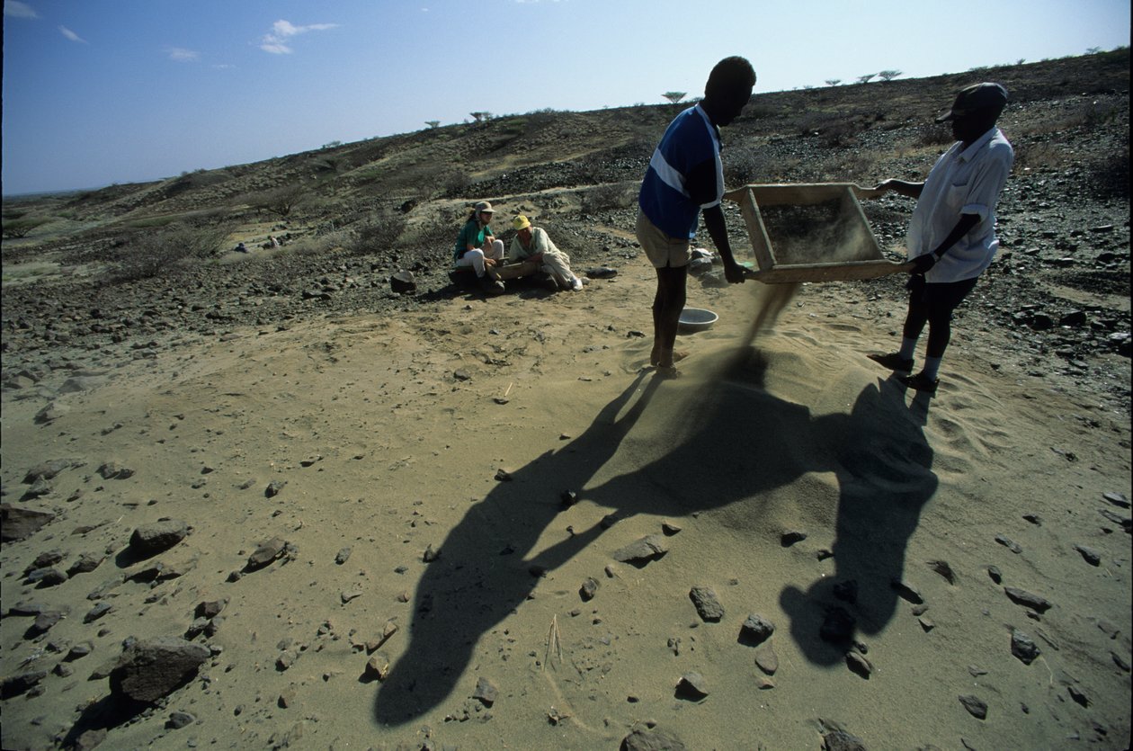 Allia Bay, Kenya; Turkana; Sigtning efter fossiler, Alan Walker, Pennsylvania State Unive... af Kenneth Garrett