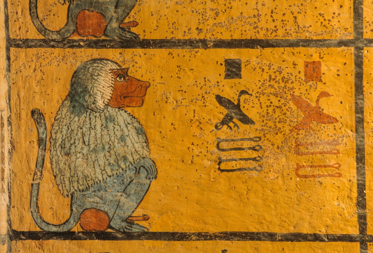 Bavian, vægmaleri i Kong Tutankhamons grav; KV52, Kongernes Dal, Theben,..., 2003 (foto) af Kenneth Garrett