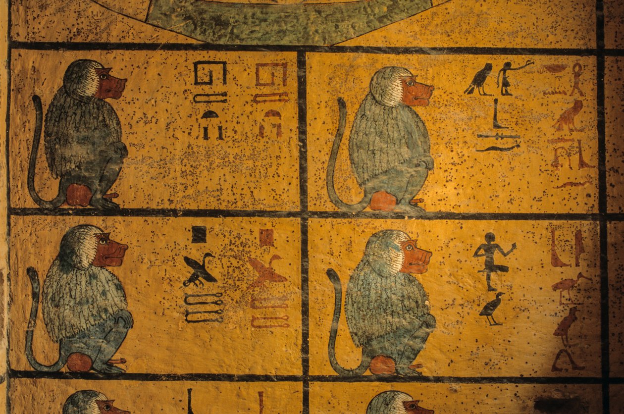 Bavianer, vægmaleri i Kong Tutankhamons grav; KV52, Kongernes Dal, Theben..., 2003 (foto) af Kenneth Garrett