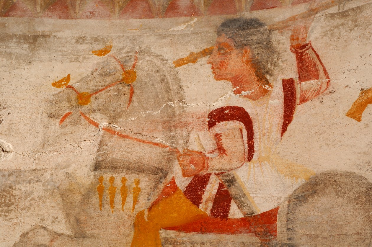 Bulgarsk guldfeber, Nicholai Ovtcharov, Perperikon-artefakter, Ptolemæus-ring, carnelli..., 2006 (foto) af Kenneth Garrett