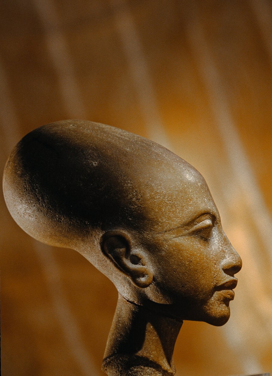 Sammensat stenhoved af en prinsesse fra Amarna, et omfattende egyptisk arkæologisk..., 2009 (foto) af Kenneth Garrett