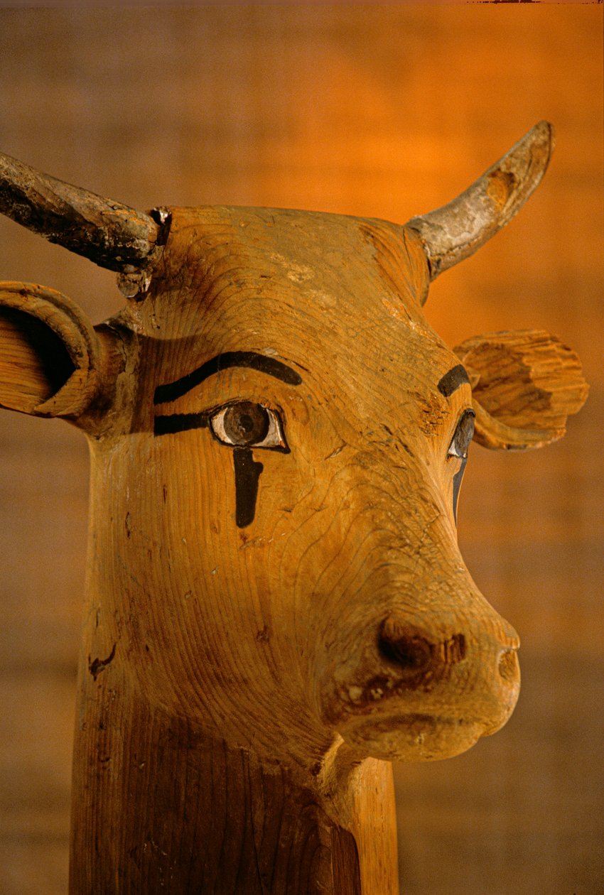Skulptur af kohoved, KV35; Amenhotep II, 2009 (foto) af Kenneth Garrett