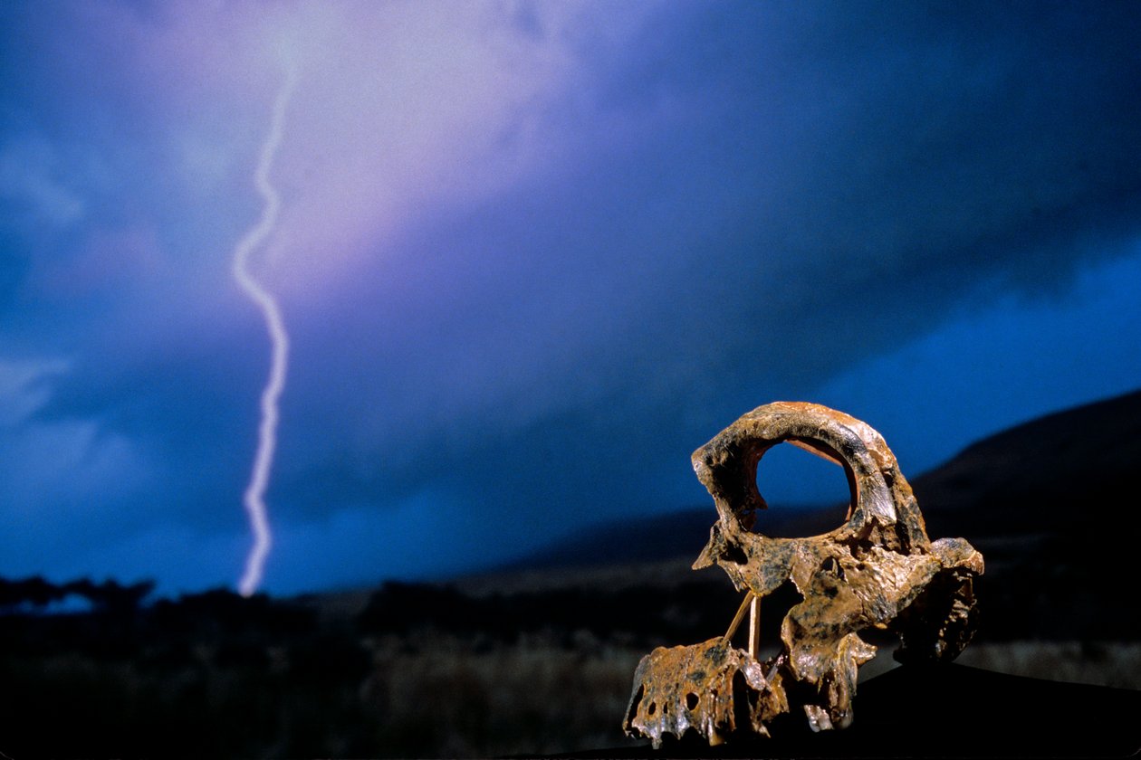 DOH; The First Steps, Broken Skull, STW 847, Lightning, High veld, Swartkrans, Sydafrika, 2008 (foto) af Kenneth Garrett