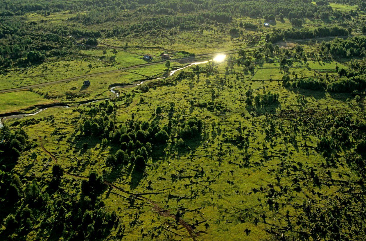 DOH, De ældste amerikanere, Chinchihuapi Creek, sæsonbestemt hjem, jægere og samlere,..., 2008 (foto) af Kenneth Garrett