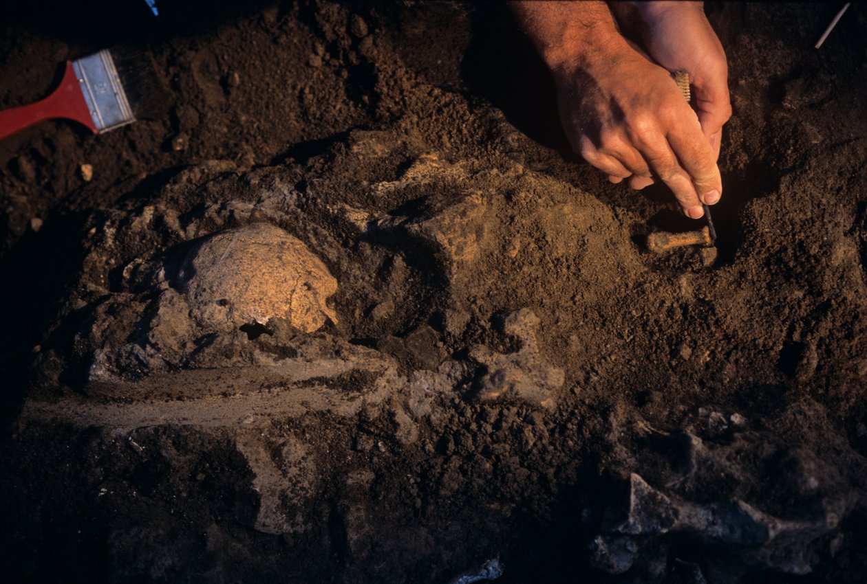 Dmanisi, Georgien, David Lordkipanidze, Homo Erectus af Kenneth Garrett
