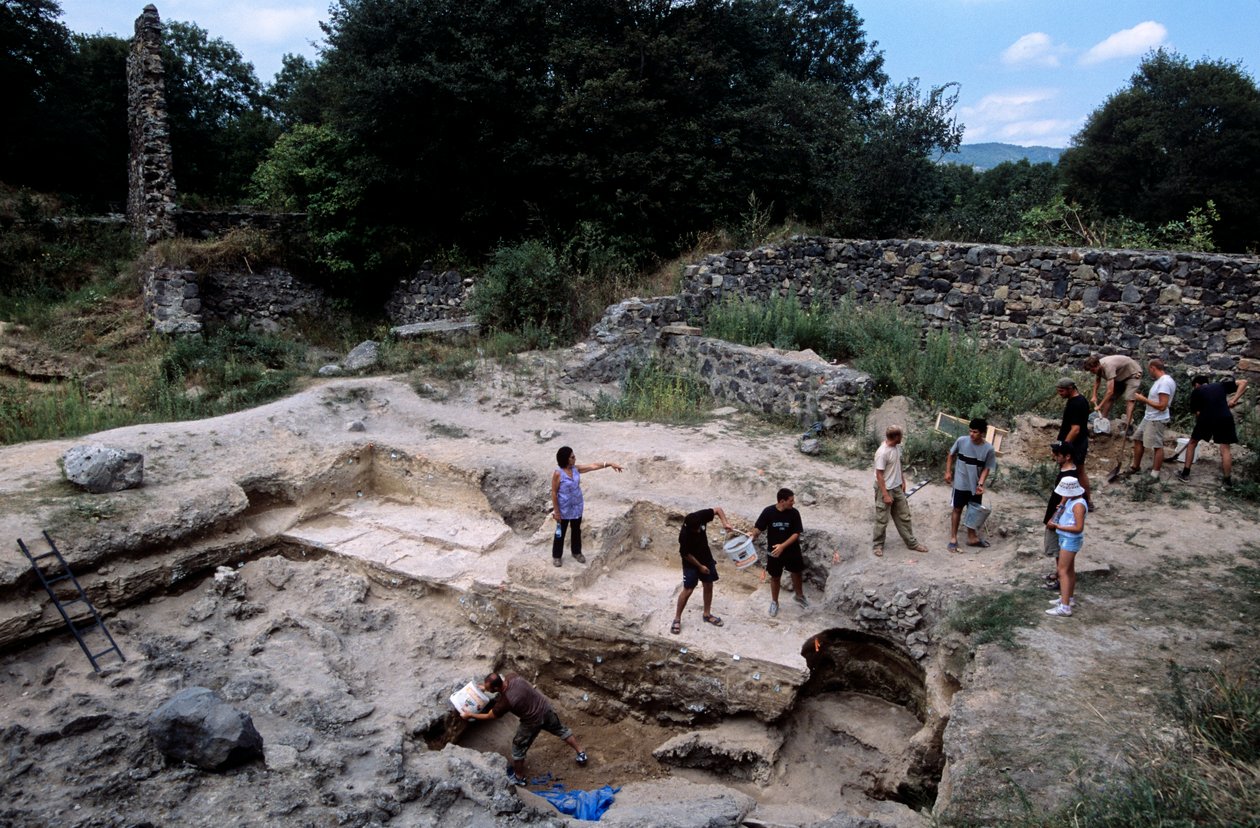 Dmanisi, Georgien Homo erectus-fundsted af Kenneth Garrett