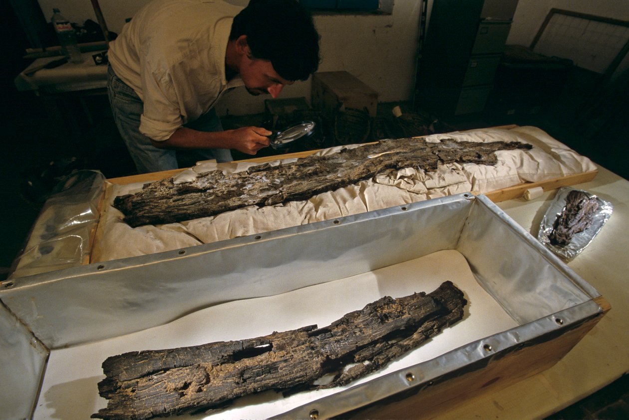 Dr. Matthew Adams inspicerer træbådsplanke i laboratoriet, hårdttræ, ikke cedertræ, fra Abydos, Egypten, 2005 (foto) af Kenneth Garrett