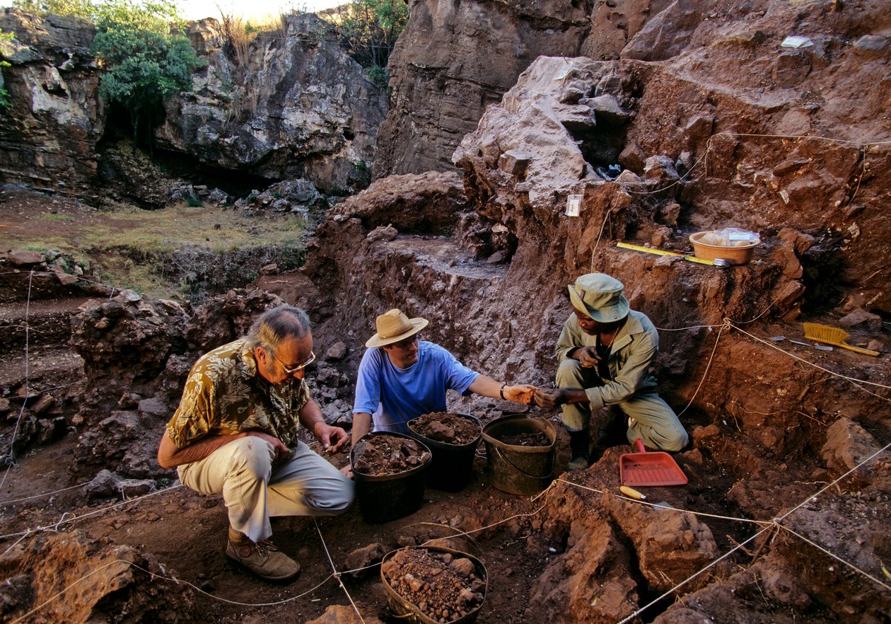 Drimolean Site, nær Johannesburg, Sydafrika, 2 millioner år gammelt hominid af Kenneth Garrett