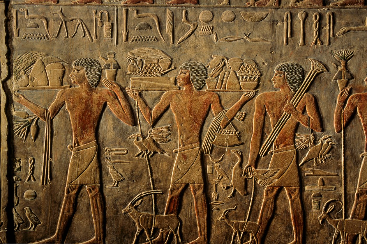 Egypten; Det Gamle Rige; Saqqara; Sakkara; Ptah Hoteps grav; Evighed af Kenneth Garrett