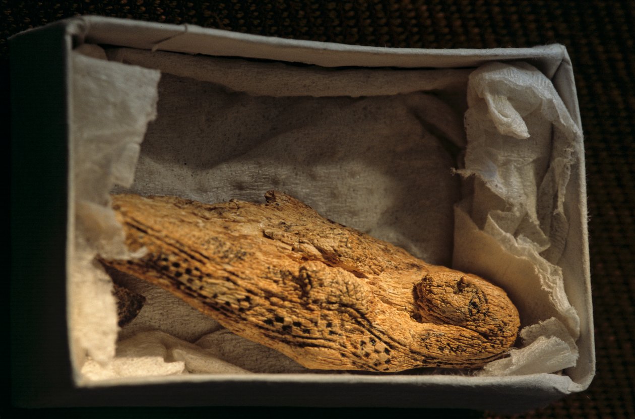 Kvindefigur, prædynastisk, Egypten, 2005 (foto) af Kenneth Garrett