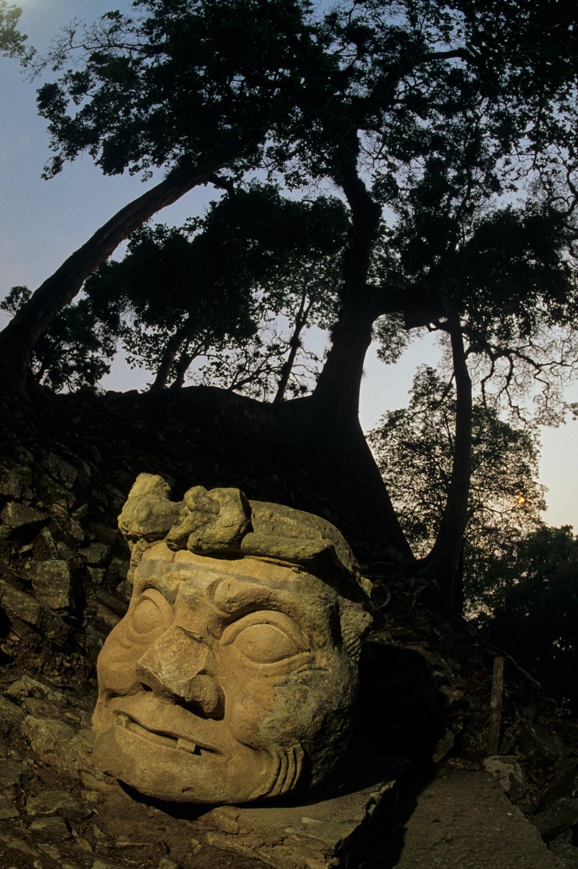 Gud N, Ceiba-træ, tempel, Maya, Copan, Honduras, Klassisk periode af Kenneth Garrett