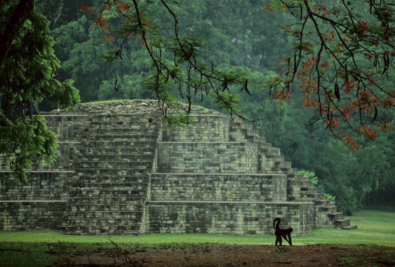 Honduras; Copan; Maya af Kenneth Garrett