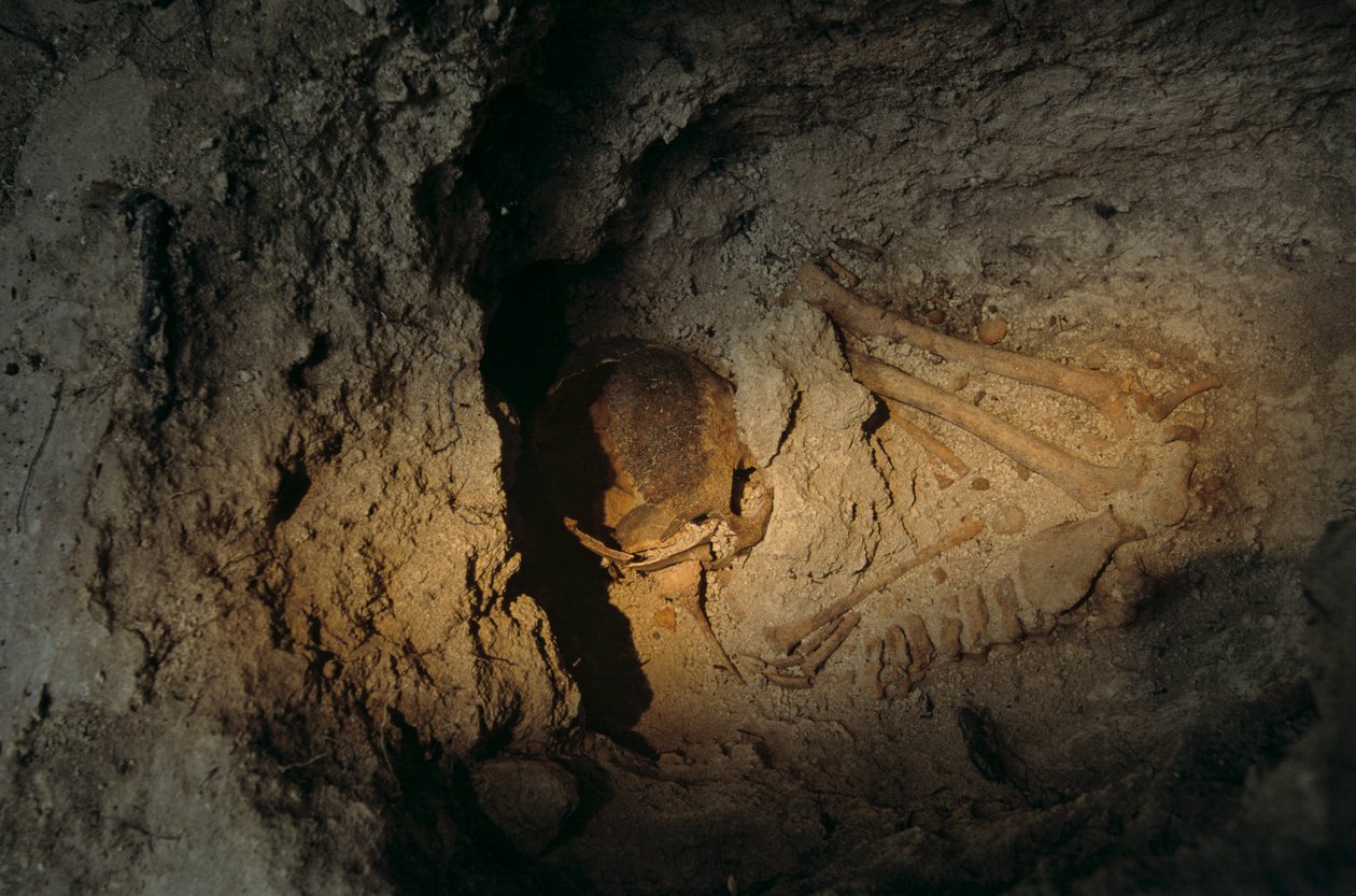 Menneskelige rester, Homul Center, Holmul, Guatemala, Maya, Francisco Estradabelli, 2008 (foto) af Kenneth Garrett