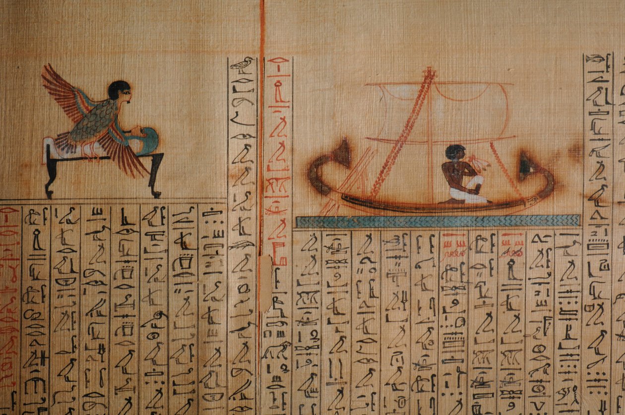 Maiherpri Papyrus, Dødebog, fra upløjet grav i Kongernes Dal, Ma..., 2007 (foto) af Kenneth Garrett