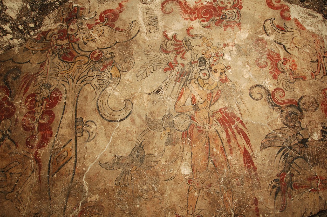 Maya; Maya-malerier; San Bartolo; Guatemala; Dr Bill Saturno, 2002 (foto) af Kenneth Garrett