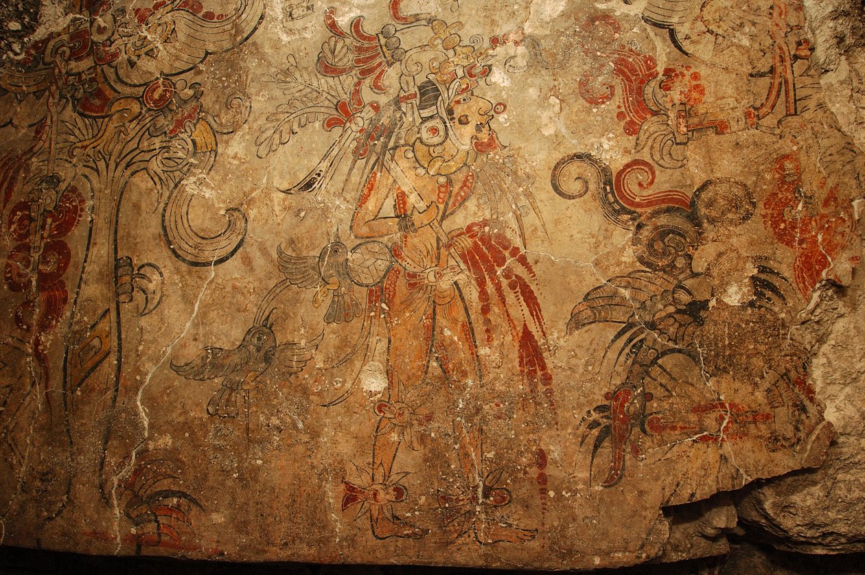 Maya; Maya-malerier; San Bartolo; Guatemala; Dr Bill Saturno, 2005 (foto) af Kenneth Garrett