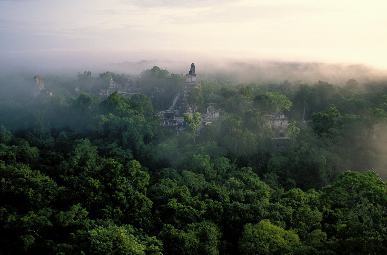Maya; Tikal; Guatemala af Kenneth Garrett