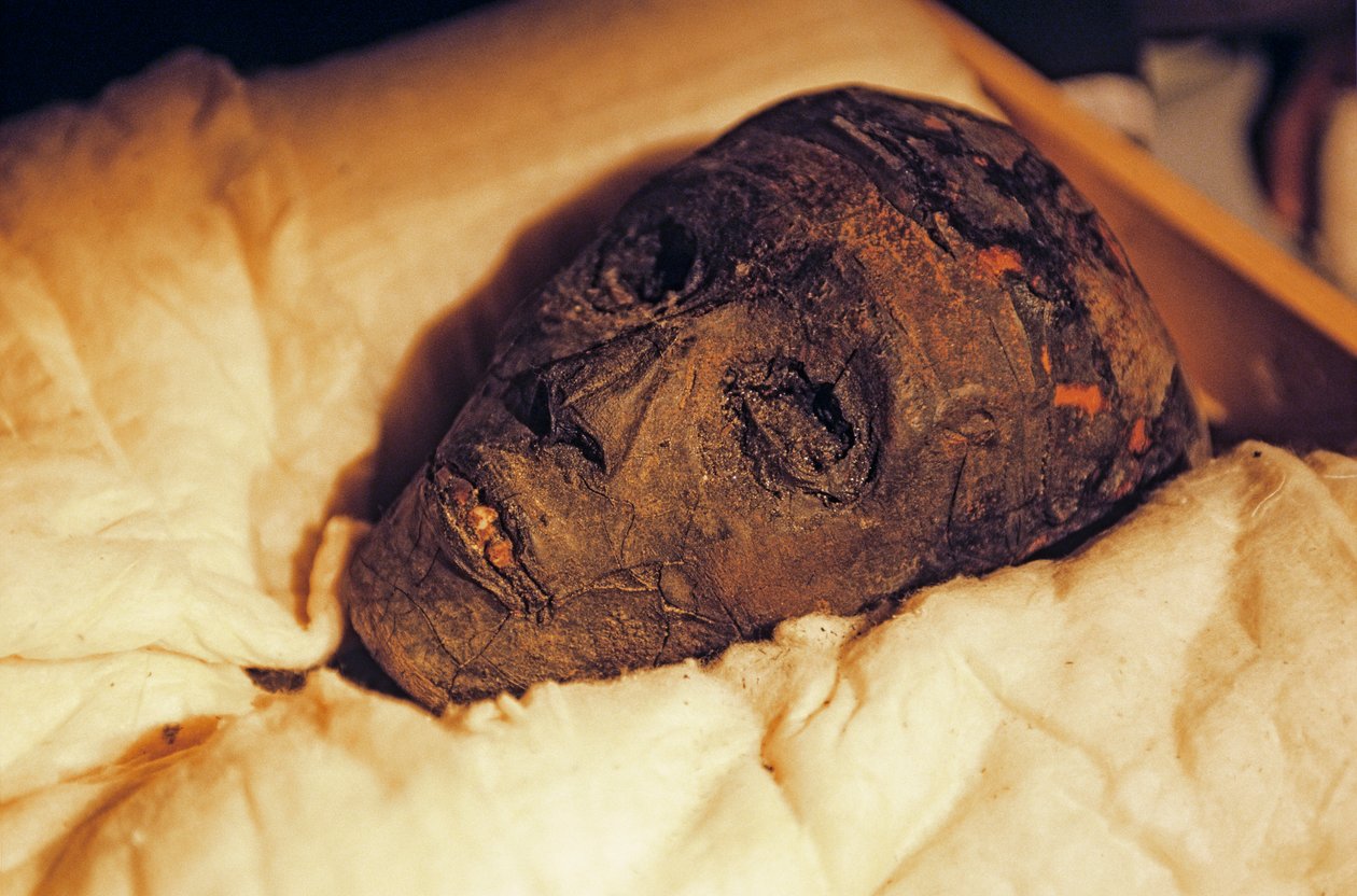 Mumiehoved og ansigt af kong Tutankhamon, 2005 (foto) af Kenneth Garrett