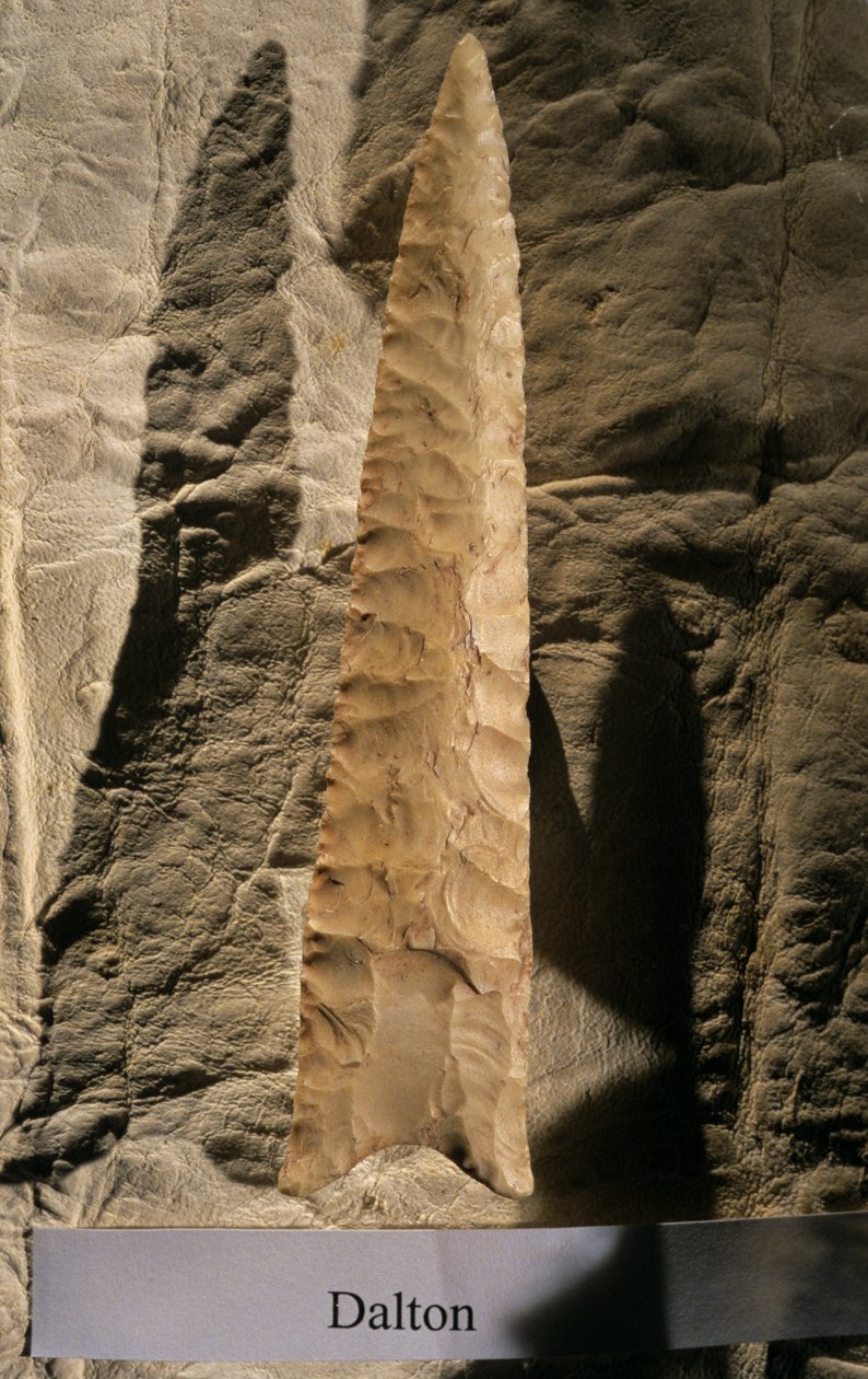 Peopling the Americas, Dalton Point, Dennis Stanford, Smithsonian værktøjssamling, 2008 (foto) af Kenneth Garrett