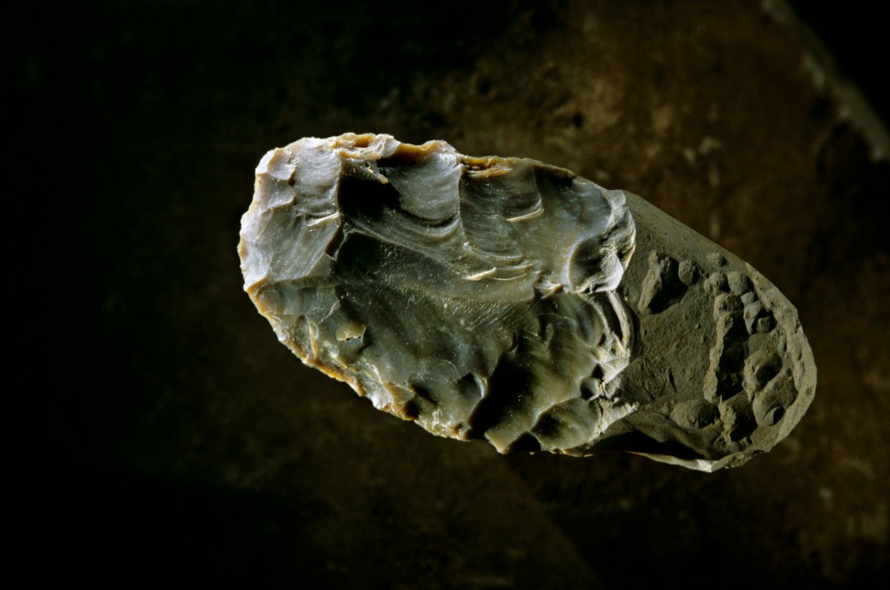 Befolkningen i Amerika, Stone Axe, Gault site, Texas, Amerika, 2000 (foto) af Kenneth Garrett