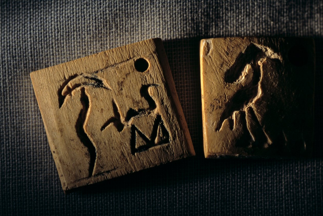 Predynastisk elfenbensmærke, tidligste skrift, Dr. Gunter Dreyer, Egypten, 2005 (foto) af Kenneth Garrett