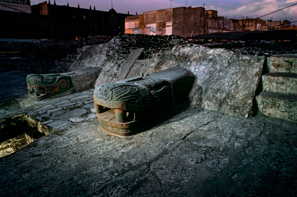 Slangekopi på det store tempel, Tenochtitlan, Templo Mayor, Aztec, Mexico, Mexico Ci..., 2010 (foto) af Kenneth Garrett