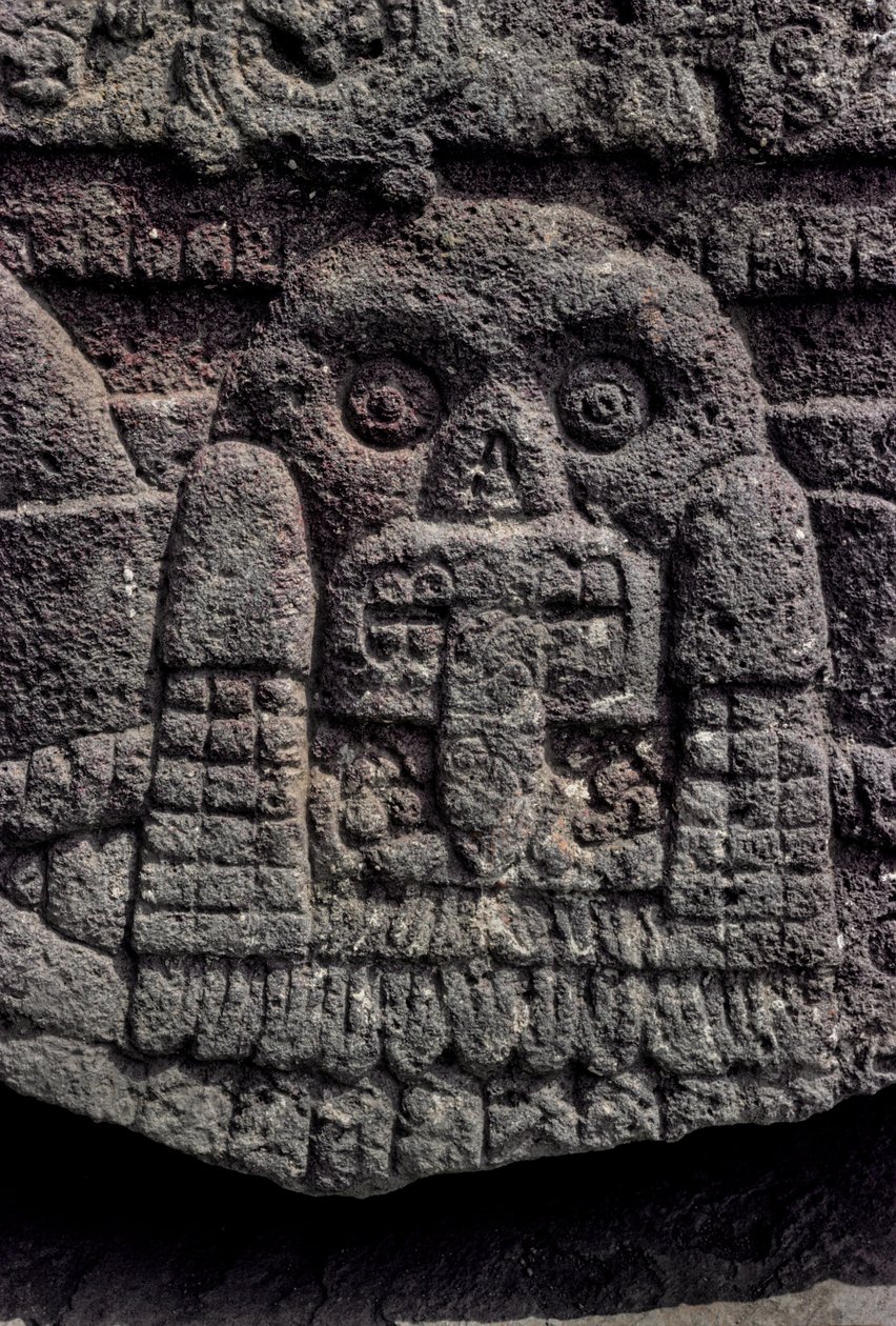 Udskæring af kranie og slange, Tenochtitlan, Templo Mayor, Aztec, Mexico, Mexico City, Gr..., 2010 (foto) af Kenneth Garrett