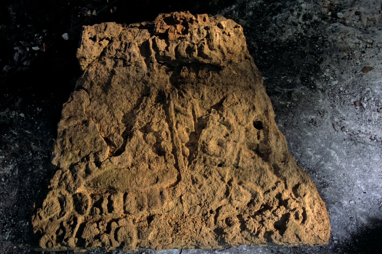 Stele, Sufricaya, Holmul, Guatemala, Maya, Francisco Estradabelli, 2008 (foto) af Kenneth Garrett