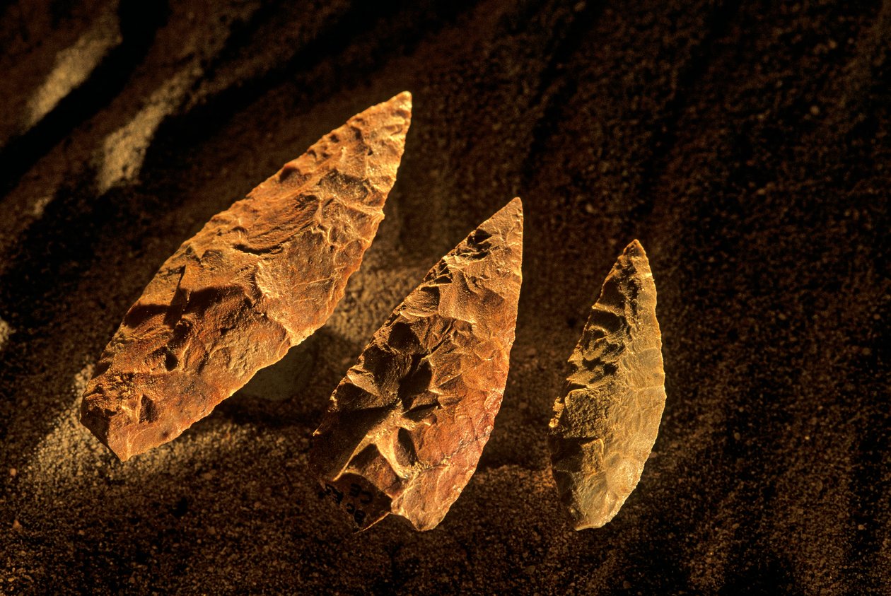 Stone Points, Cape Town, Sydafrika, 2000 (foto) af Kenneth Garrett