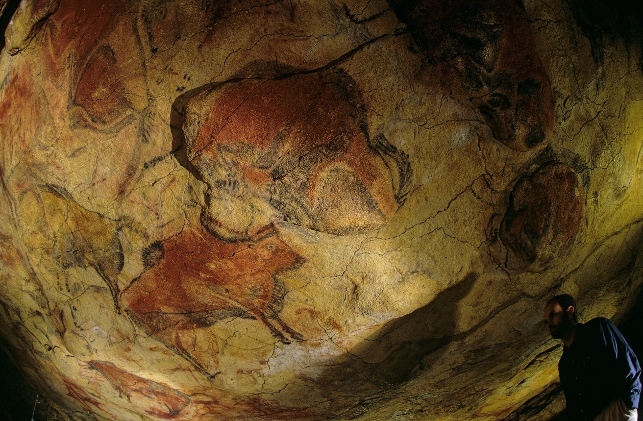 Galleriet af bisonokser, Altamira-grotten, Spanien, 2000 (foto) af Kenneth Garrett