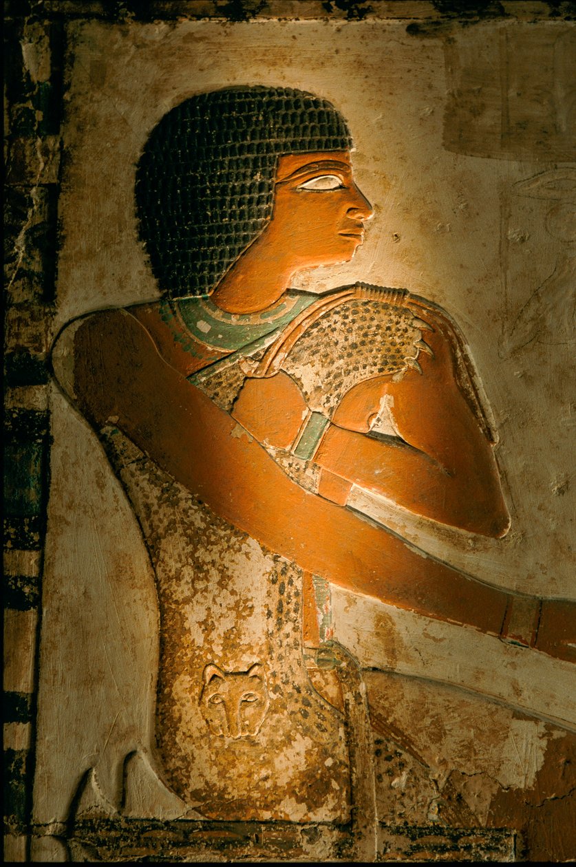 Nefers grav; Egypten; Arkæologi; Det Gamle Rige; Saqqara af Kenneth Garrett